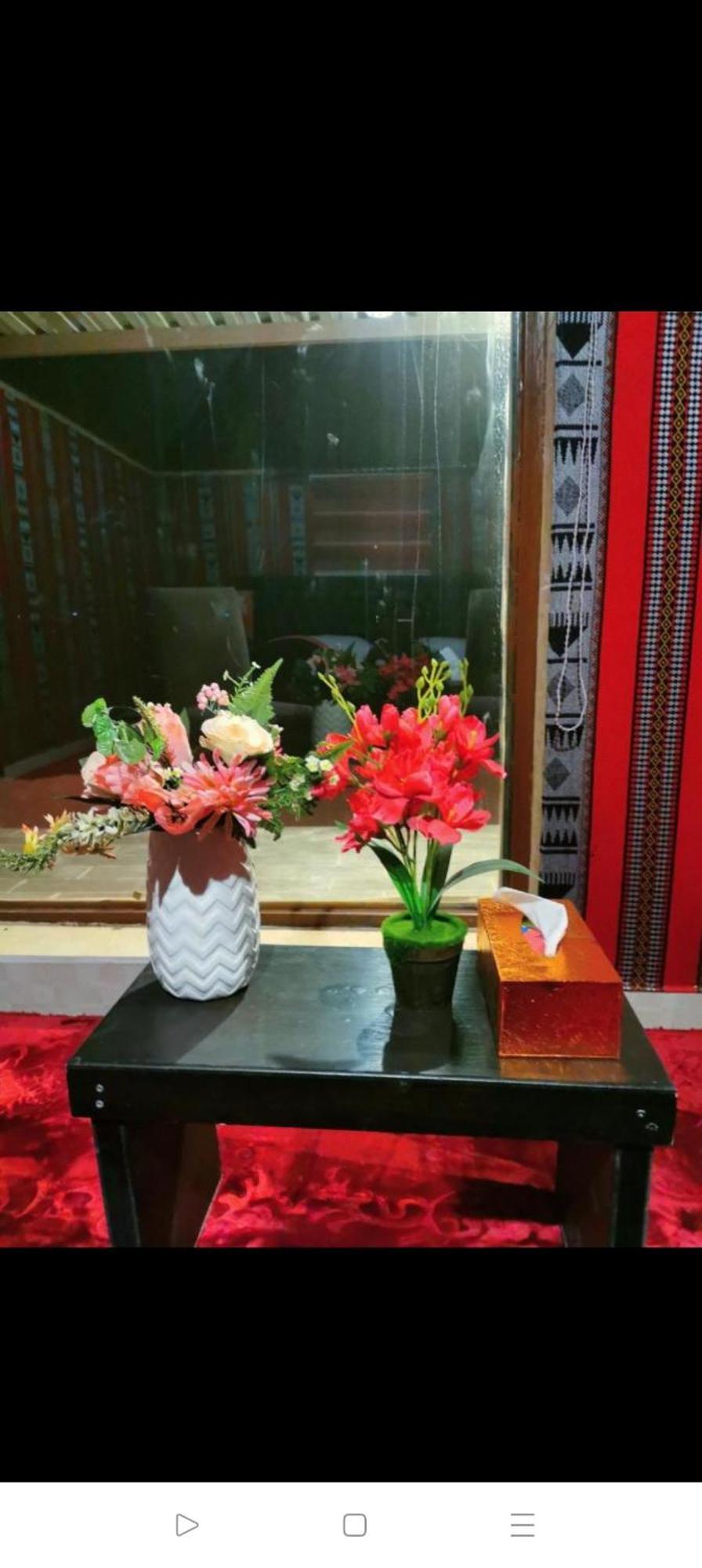 Titanic Camp Bed & Breakfast Wadi Rum Bagian luar foto